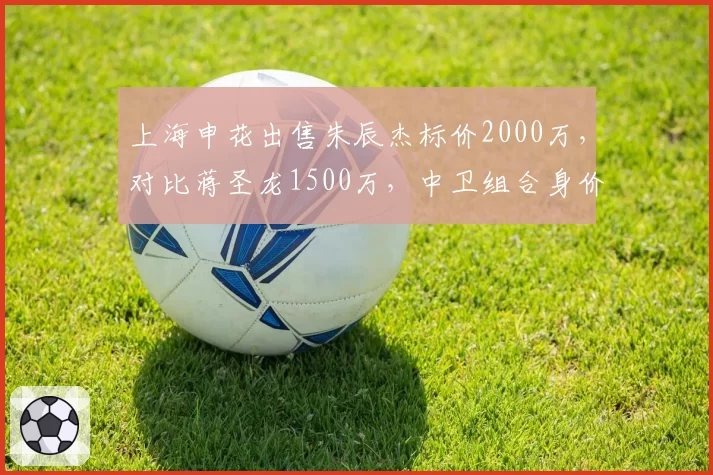 上海申花出售朱辰杰标价2000万，对比蒋圣龙1500万，中卫组合身价合计3500万